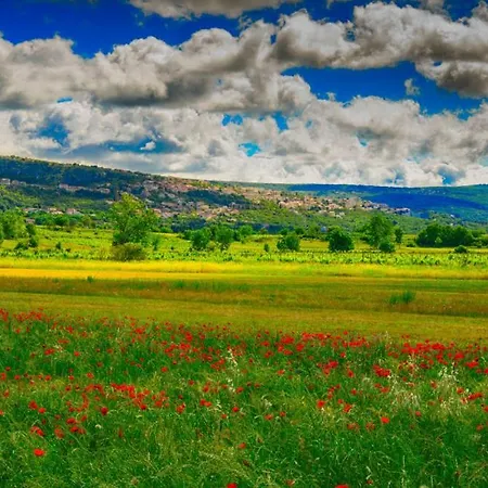 Villa Zovko In By Guide Makarska